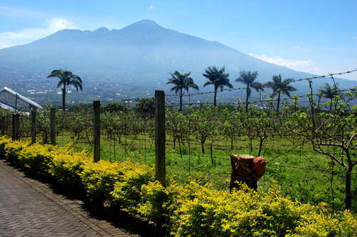 Daftar Tempat Wisata di Kota Malang, Kabupaten Malang dan Kota Batu