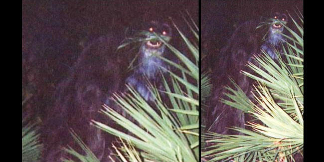 7 Foto Paling Misterius Di Dunia