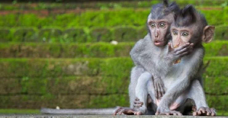 Cegah ABG Mesum, Dinas Pertamanan DKI Pasang CCTV