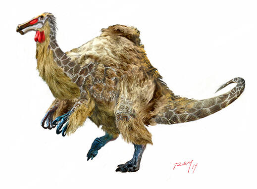 Deinocheirus mirificus Dinosaurus yang Mysterius