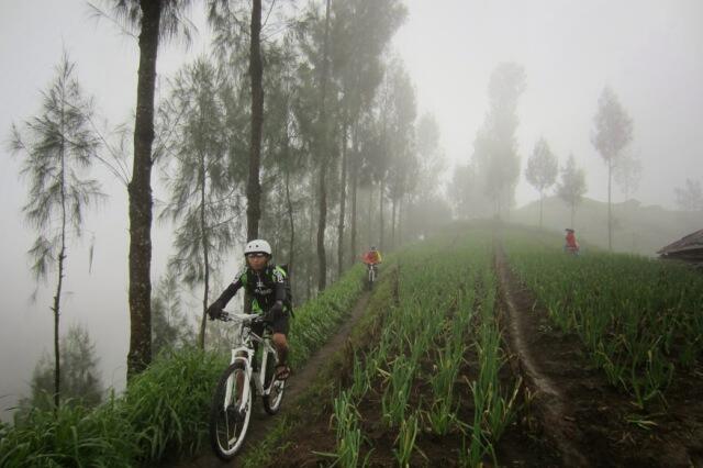&#91;catper&#93; Bikepacker ke atas awan - puncak B29 Lumajang