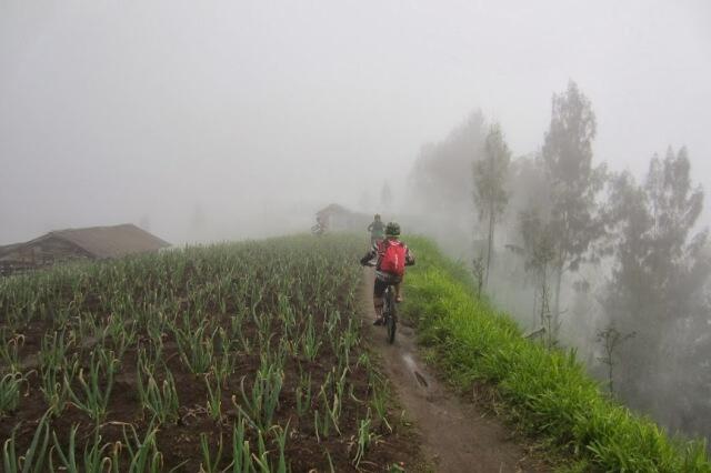 &#91;catper&#93; Bikepacker ke atas awan - puncak B29 Lumajang