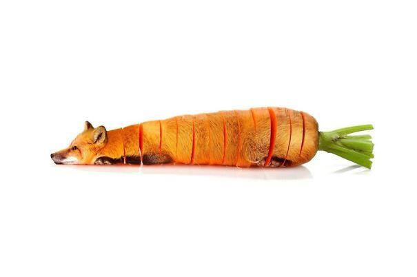 Buah2an yang Akan Membuat para Vegetarian Sakit Hati &#91;WITH PICT&#93;