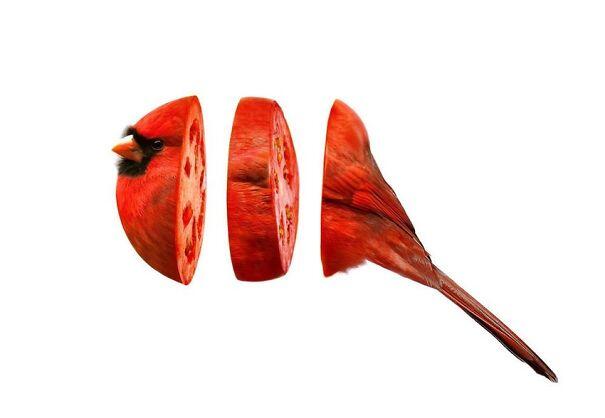 Buah2an yang Akan Membuat para Vegetarian Sakit Hati &#91;WITH PICT&#93;