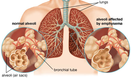 Ini gan tanda - tanda kebesaran sang Pencipta di tubuh kita
