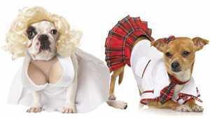 Anjing sexy banget &#91;bd&#93;