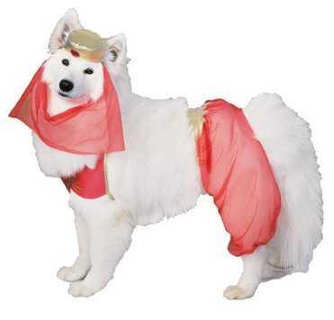 Anjing sexy banget &#91;bd&#93;
