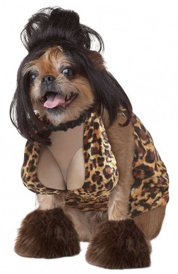 Anjing sexy banget &#91;bd&#93;