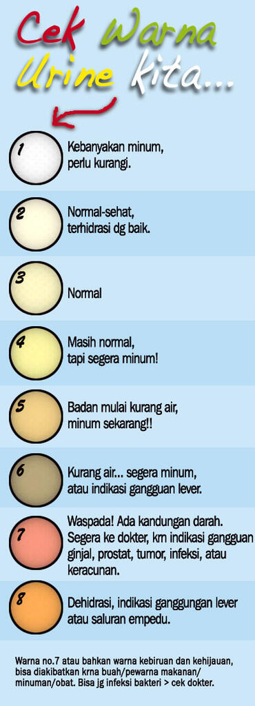 Penting, warna urine/pipis menggambarkan kondisi badan kita!!
