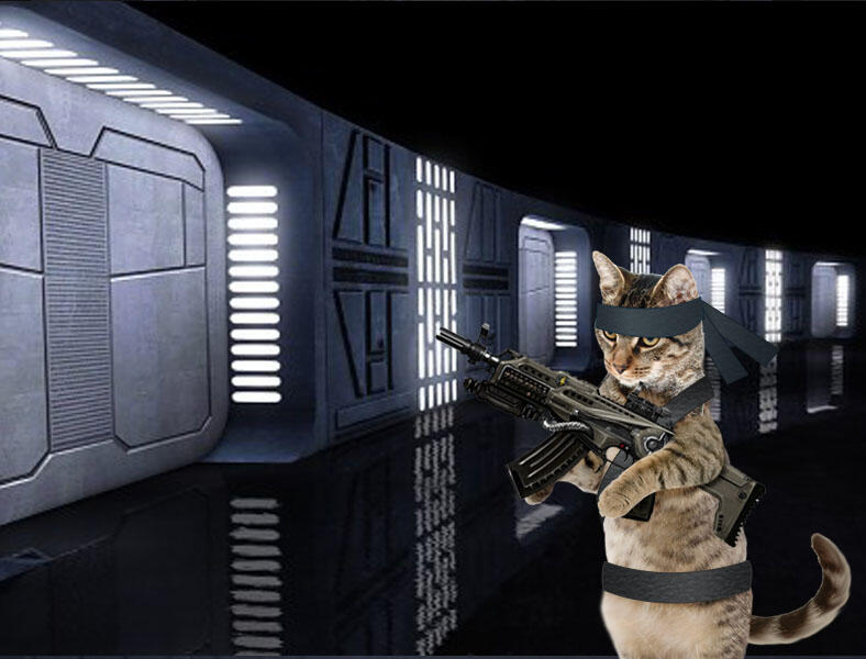 Kucing Numpang Lewat - Episode Star Wars (Komik Sotosop Full Picture)