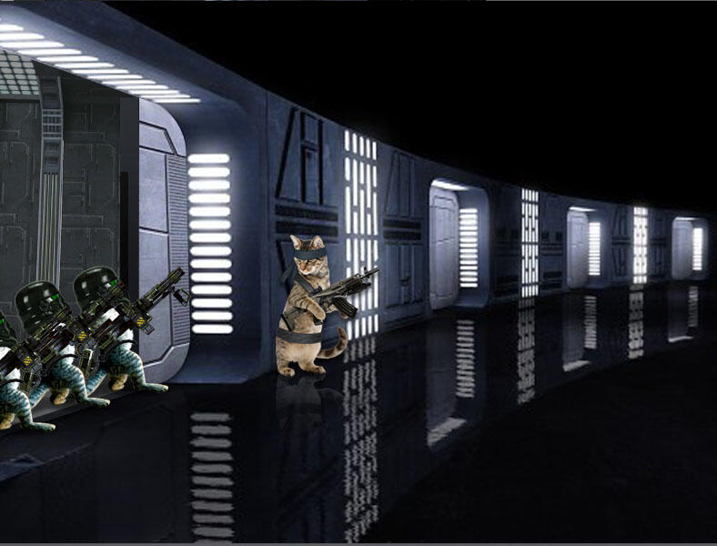 Kucing Numpang Lewat - Episode Star Wars (Komik Sotosop Full Picture)