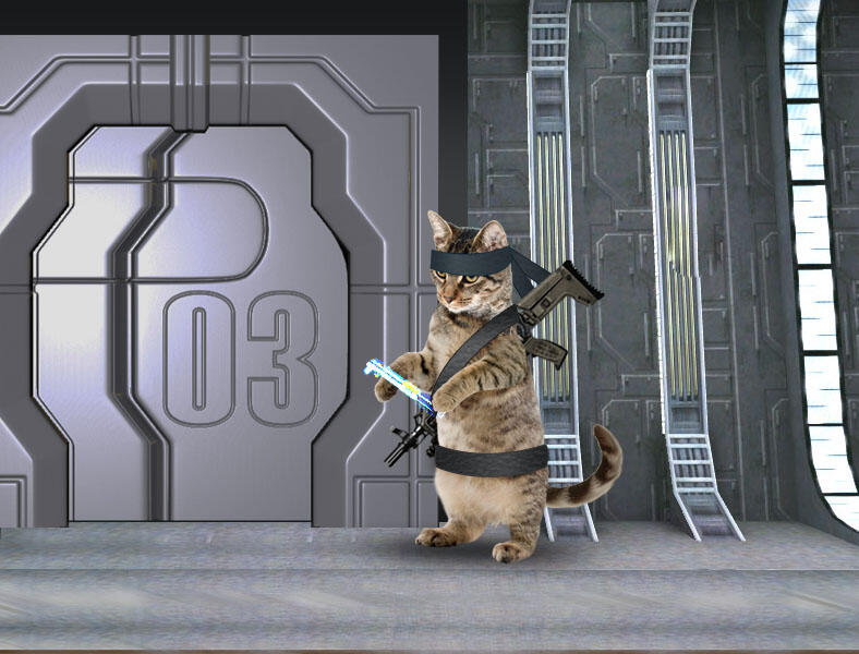 Kucing Numpang Lewat - Episode Star Wars (Komik Sotosop Full Picture)