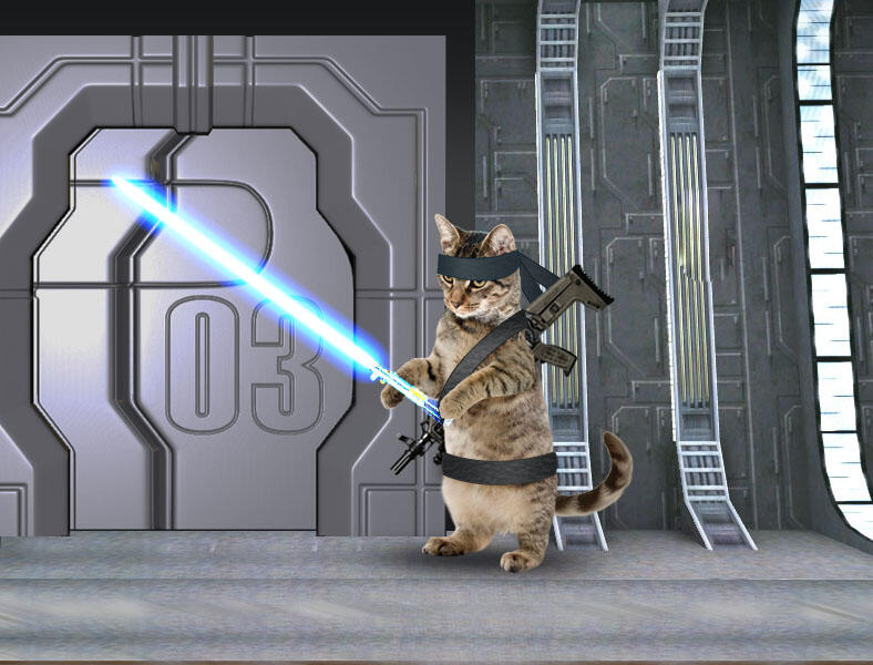 Kucing Numpang Lewat - Episode Star Wars (Komik Sotosop Full Picture)