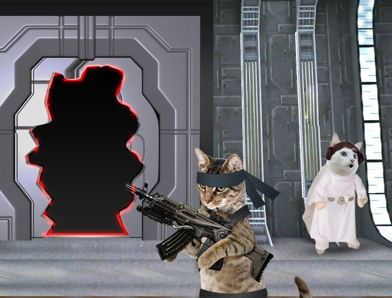 Kucing Numpang Lewat - Episode Star Wars (Komik Sotosop Full Picture)