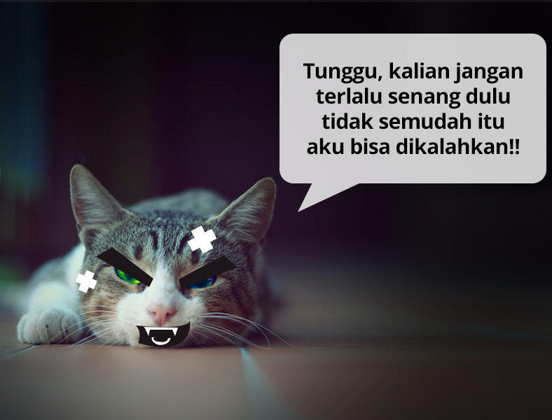 Kucing Numpang Lewat - Episode Star Wars (Komik Sotosop Full Picture)