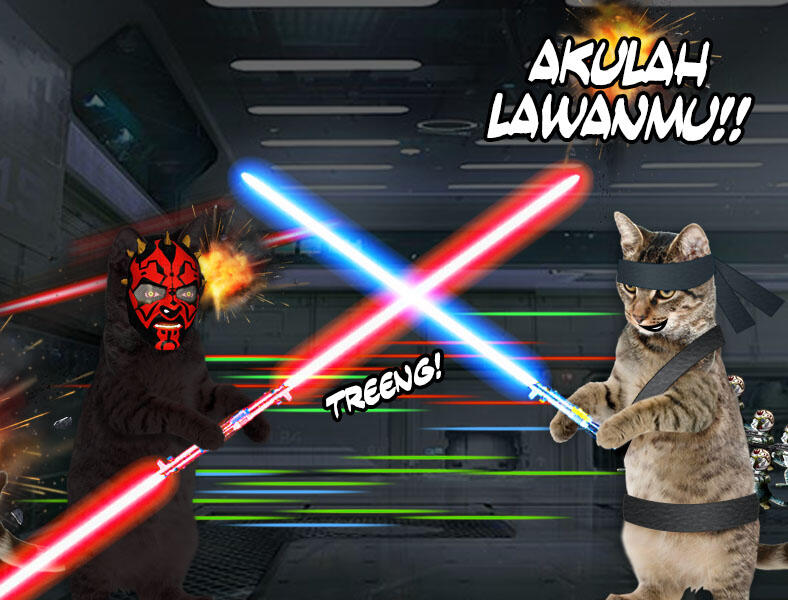 Kucing Numpang Lewat - Episode Star Wars (Komik Sotosop Full Picture)