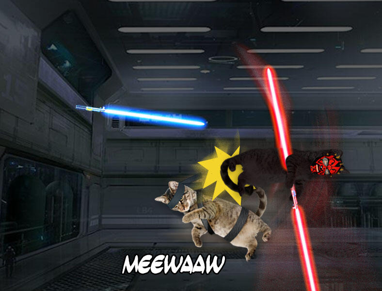 Kucing Numpang Lewat - Episode Star Wars (Komik Sotosop Full Picture)