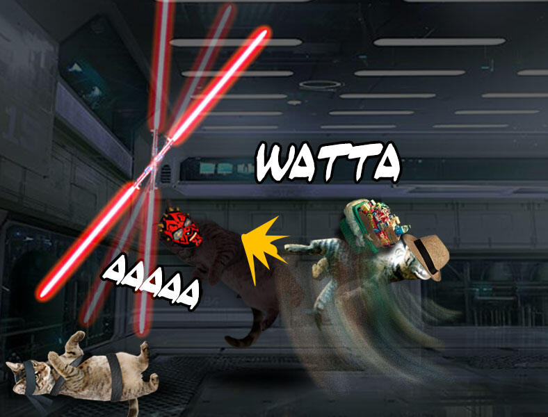 Kucing Numpang Lewat - Episode Star Wars (Komik Sotosop Full Picture)