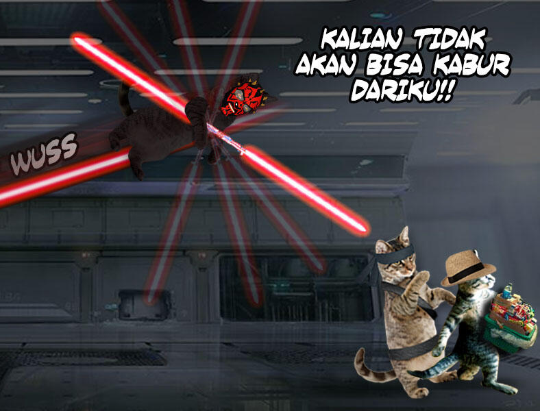 Kucing Numpang Lewat - Episode Star Wars (Komik Sotosop Full Picture)
