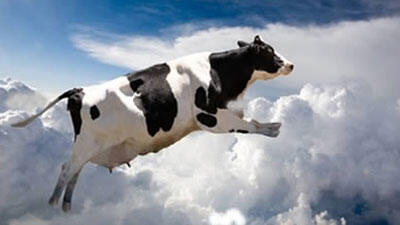 10 Hal Paling Mengejutkan Yang Pernah Jatuh Dari Langit