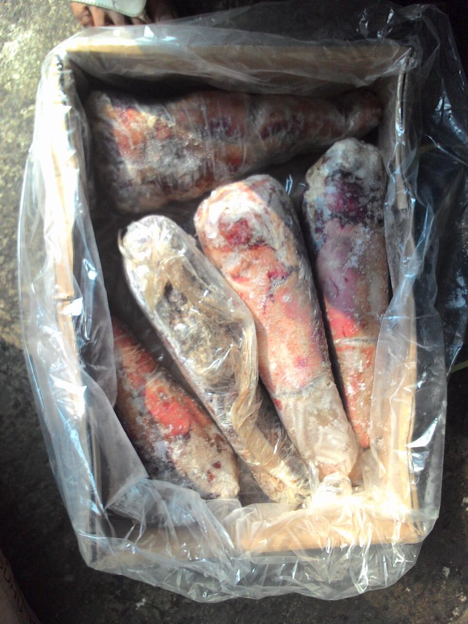 Terjual Jual Fresh Meat \u0026 Frozen Meat, Daging Segar\/Beku Sapi, Kambing , Bebek , Ayam , Ikan 
