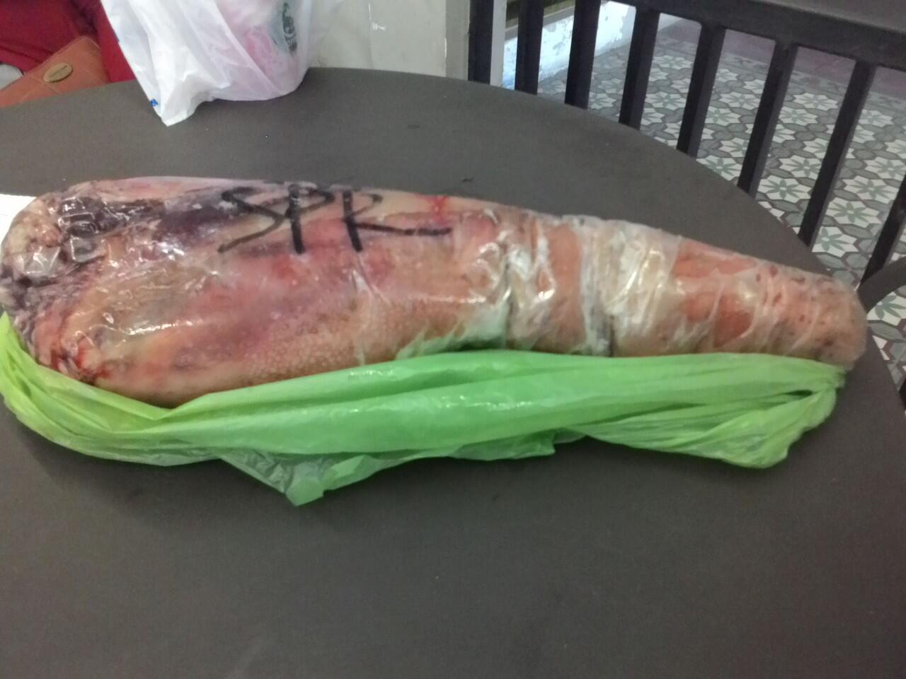 Terjual Jual Fresh Meat \u0026 Frozen Meat, Daging Segar\/Beku Sapi, Kambing , Bebek , Ayam , Ikan 