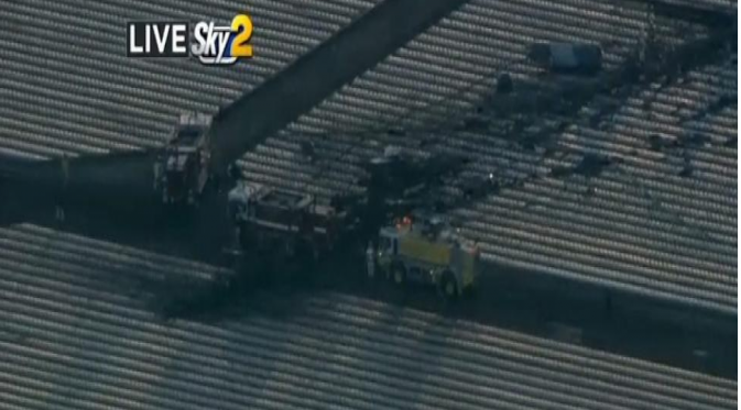 Pilot Pesawat Sepuh Tewas Usai Manuver Ala 'Top Gun'