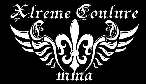 MMA, Muay Thai, BJJ T-Shirts Kaos Original ( Tapout, Badboy, UFC, Dethrone, etc ) Bdg