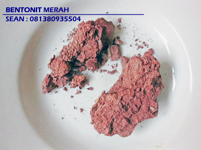apa ? makan tanah bisa menjadi sehat dan cantik ????