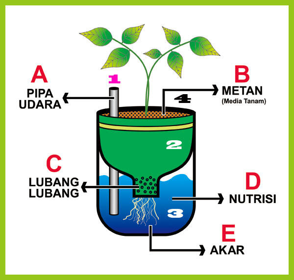 Tips Bertani Dengan Media Hidroponik