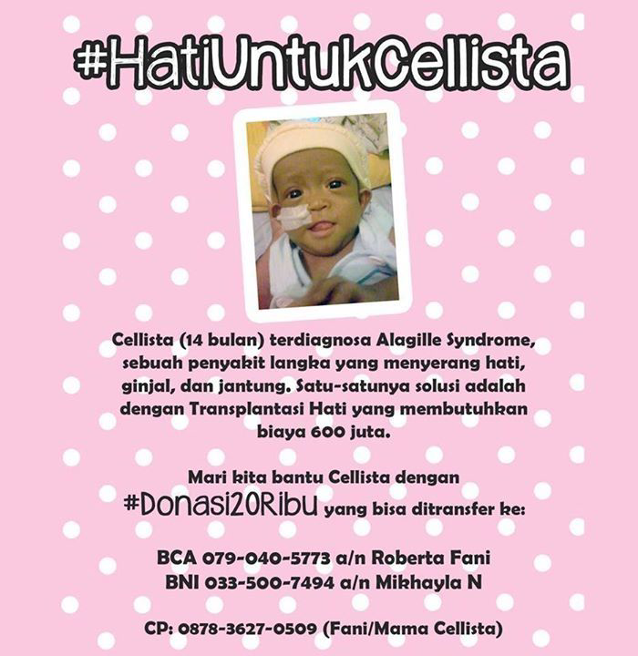 &#91;Donasi&#93; Hati untuk Cellista