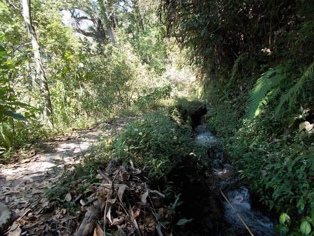 &#91;CATPER&#93; PESONA GUNUNG BUTAK