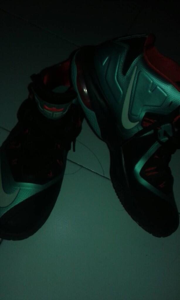 Sepatu Basket Nike Ambassador