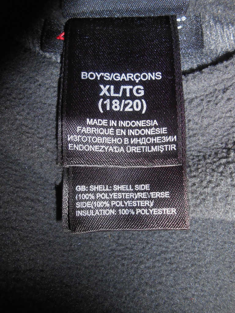 north face true false jacket