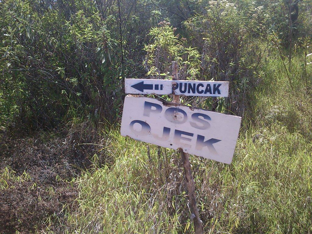 Solo Hikking Sindoro via Bansari 1 suro