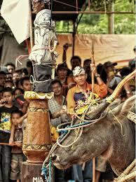 dayak
