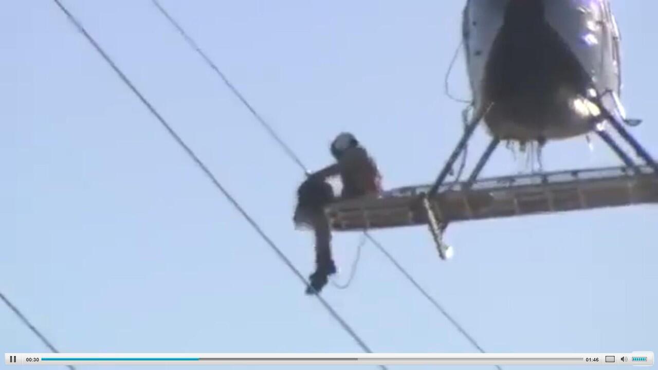 Pakai Heli, Selamatkan Burung di Kabel Tegangan Tinggi !
