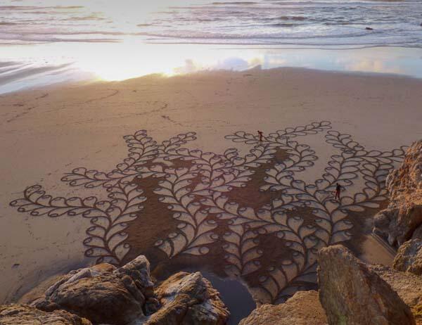 Seorang pria membawa sebuah sikat ke pantai. Lihat apa yang dilakukannya ?