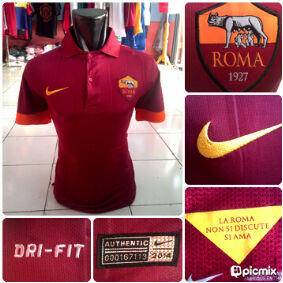 AS Roma Lengkap 2014
