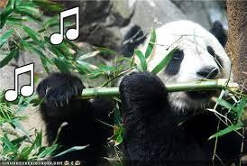 Kumpulan Foto Panda-Panda Lucu dan Menggemaskan