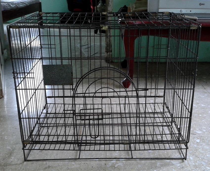 Kandang Kucing dan Guinea Pig