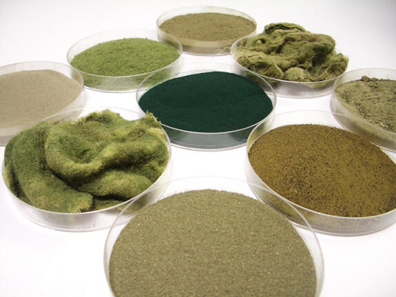 Bioplastik dari Alga, Bahan Baku Industri Ramah Lingkungan