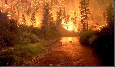 WRATH OF NATURE: 10 FOTOGRAFI BENCANA PALING ….