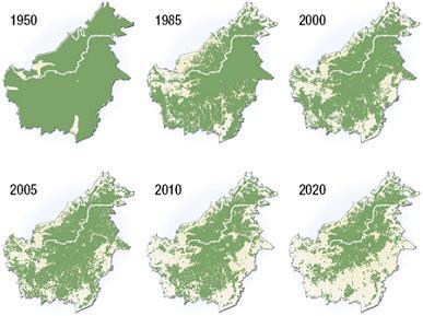 save our borneo