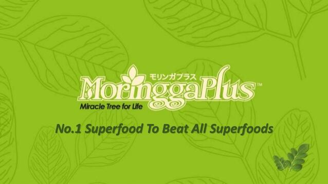 MoringgaPlus Bisnis Baru dengan Ratusan Downline dalam 1 hari, FREE PENDAFTARAN!!!