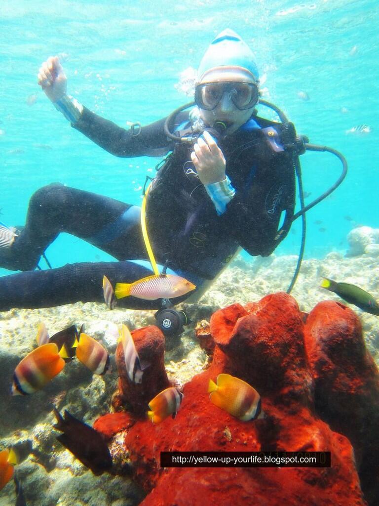 10 Diving Spot Paling Keren di Indonesia yang Wajib Dijelajahi