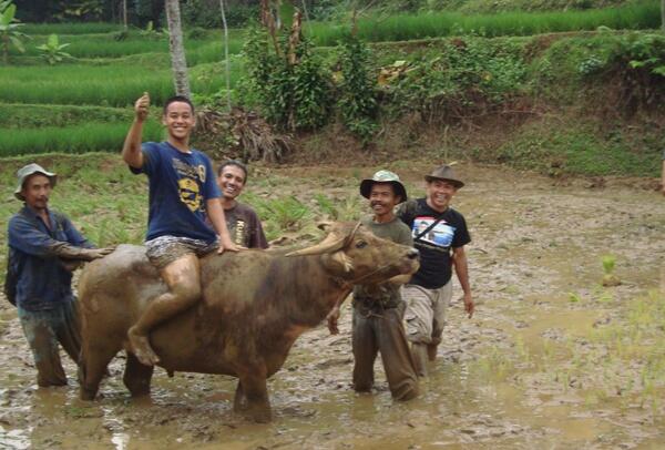 Cuma anak- anak muda yang tinggal di desa yang bisa merasakan pergulatan batin ini