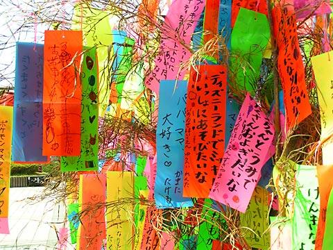 All About Tanabata Festival