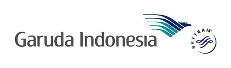 Ada yang tahu gak Skyteam itu apa?