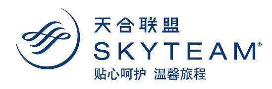 Ada yang tahu gak Skyteam itu apa?